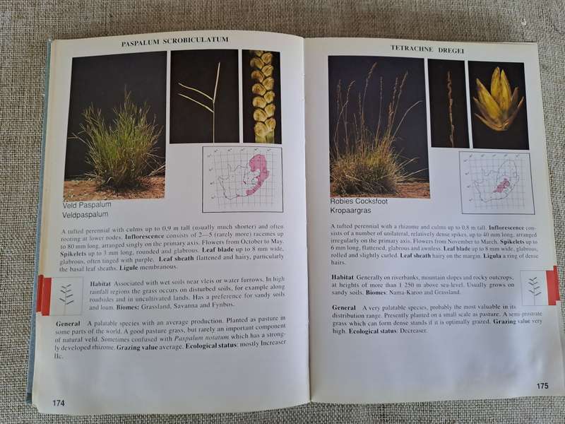 Guide to Grasses of South Africa - Frits van Oudtshoorn