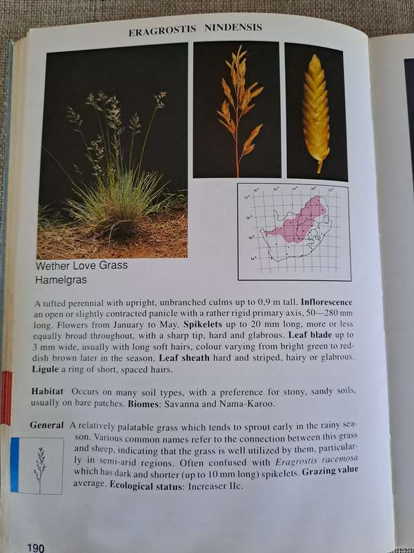 Guide to Grasses of South Africa - Frits van Oudtshoorn