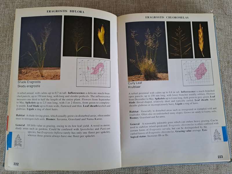 Guide to Grasses of South Africa - Frits van Oudtshoorn