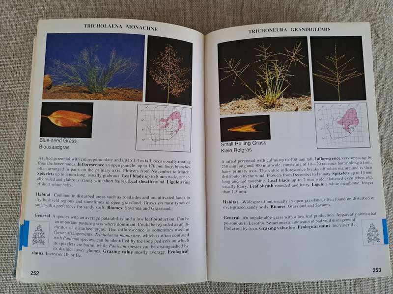 Guide to Grasses of South Africa - Frits van Oudtshoorn