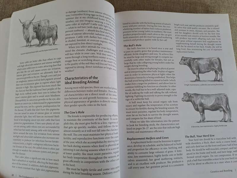 Grass-Fed Cattle: How to produce and market natural beef - Julius Ruechel