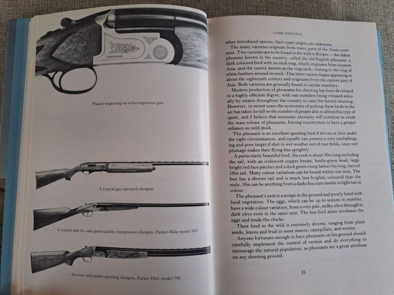 The Sporting gun  James Douglas