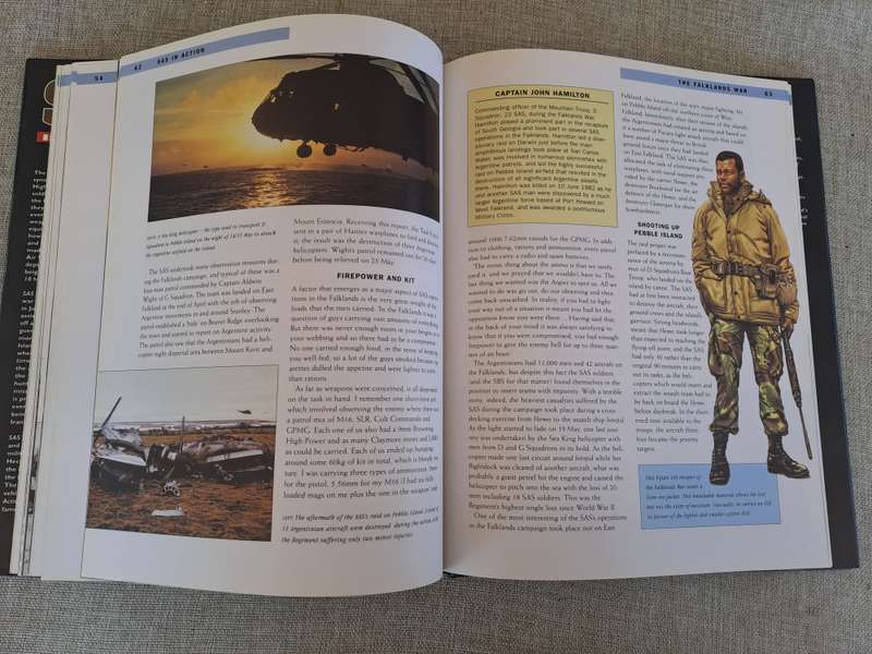 SAS in Action - Chris Chant