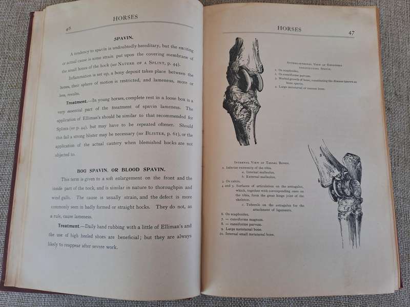 Animals treatment First Aid: Horses Dogs Birds & Cattle, The Elliman E.F.A. book
