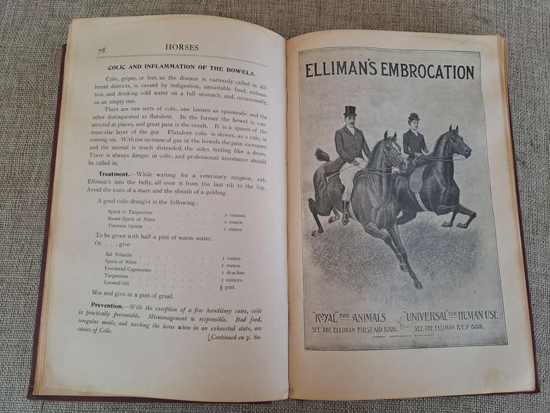Animals treatment First Aid: Horses Dogs Birds & Cattle, The Elliman E.F.A. book