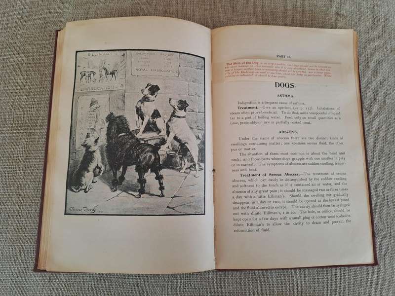 Animals treatment First Aid: Horses Dogs Birds & Cattle, The Elliman E.F.A. book