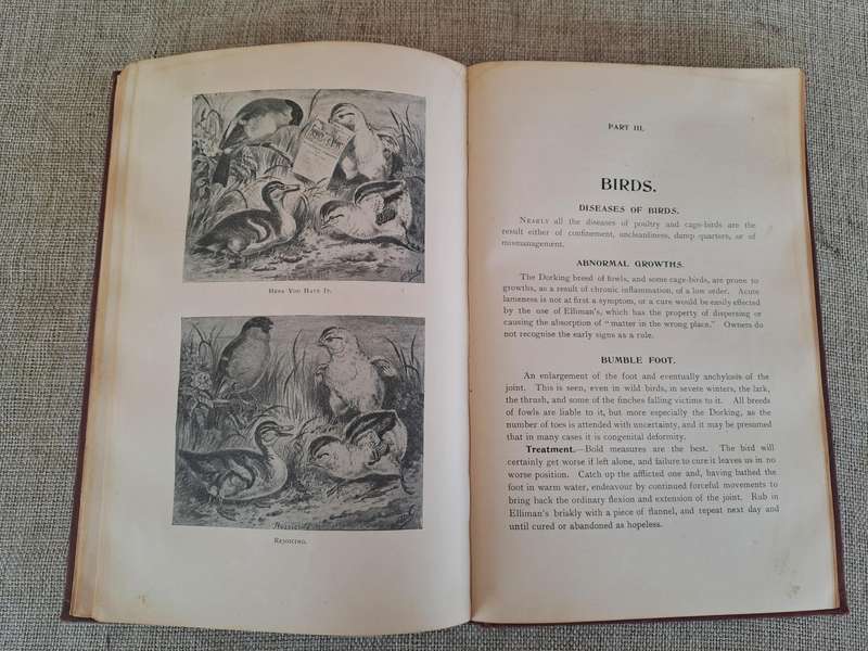 Animals treatment First Aid: Horses Dogs Birds & Cattle, The Elliman E.F.A. book