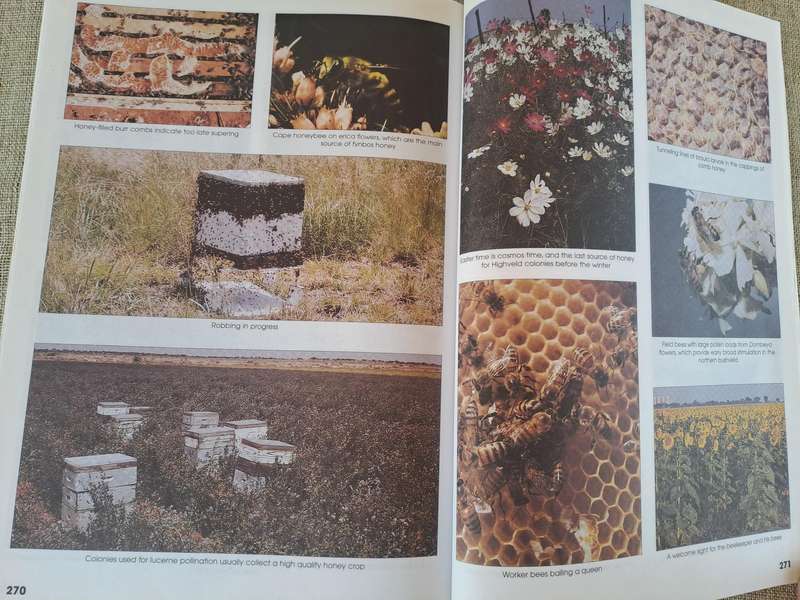 Beekeeping in South Africa 3rd Edition