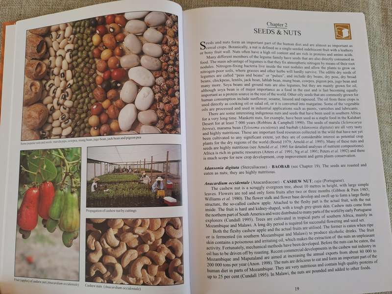 People's Plants: A Guide to Useful Plants of Southern Africa
