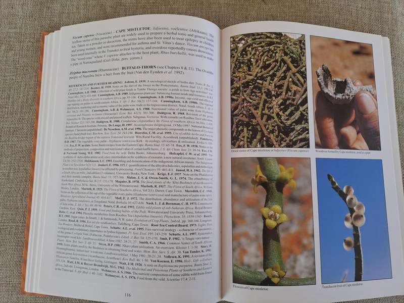 People's Plants: A Guide to Useful Plants of Southern Africa