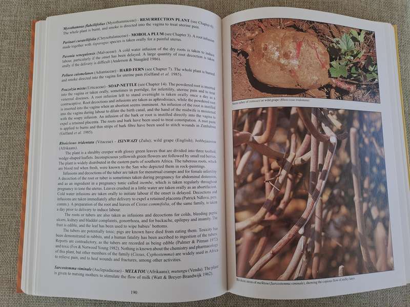 People's Plants: A Guide to Useful Plants of Southern Africa