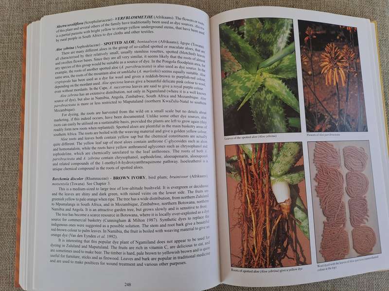 People's Plants: A Guide to Useful Plants of Southern Africa