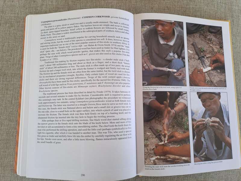 People's Plants: A Guide to Useful Plants of Southern Africa