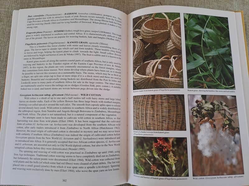People's Plants: A Guide to Useful Plants of Southern Africa
