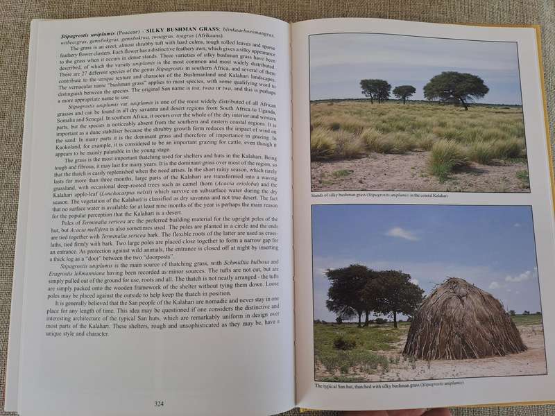 People's Plants: A Guide to Useful Plants of Southern Africa
