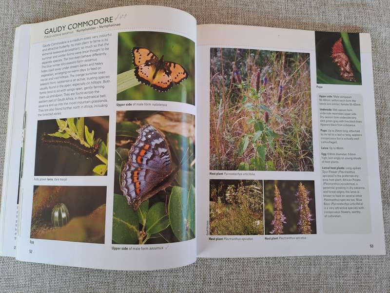 Gardening for Butterflies: Planning and Planting an insect-friendly garden in South Africa (Signed)