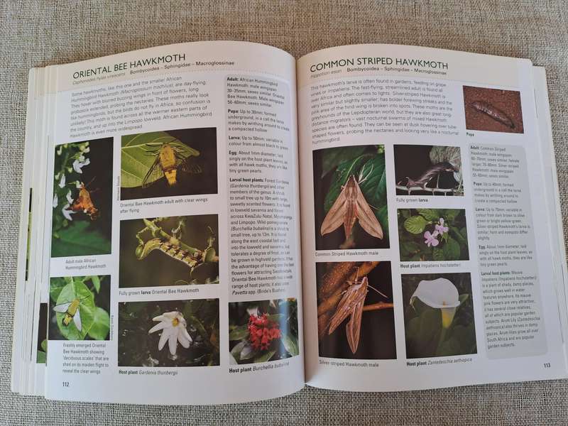Gardening for Butterflies: Planning and Planting an insect-friendly garden in South Africa (Signed)