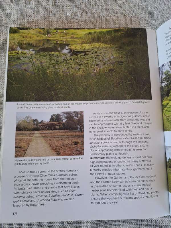 Gardening for Butterflies: Planning and Planting an insect-friendly garden in South Africa (Signed)