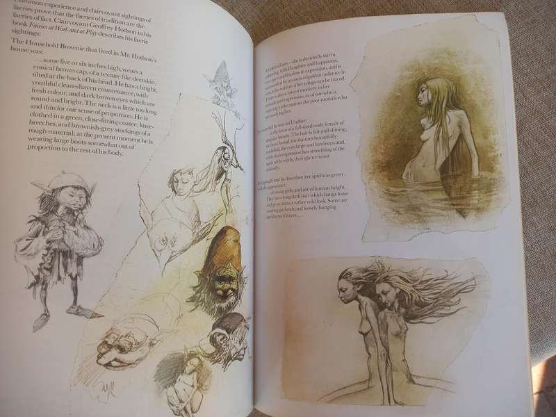 Faeries by Brian Froud, Alan Lee