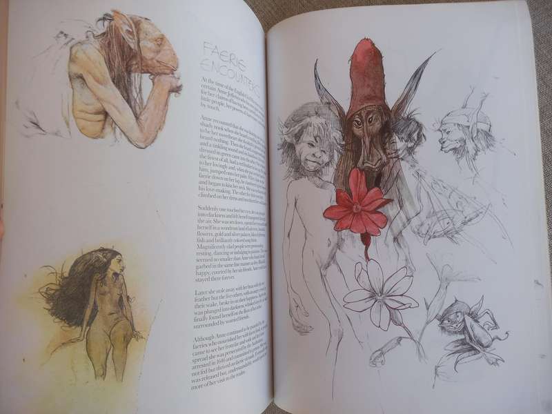 Faeries by Brian Froud, Alan Lee