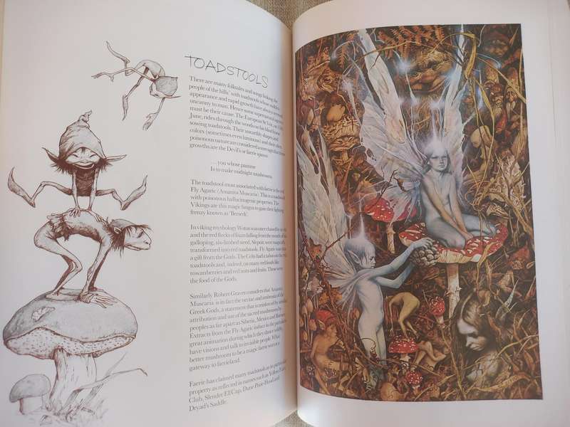 Faeries by Brian Froud, Alan Lee