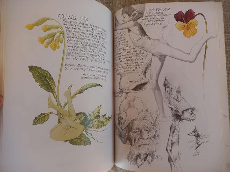 Faeries by Brian Froud, Alan Lee