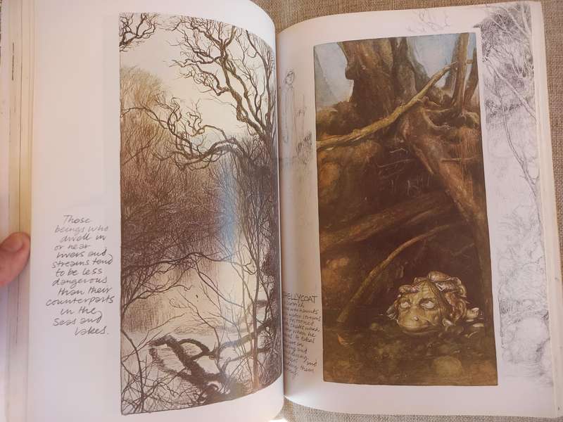 Faeries by Brian Froud, Alan Lee