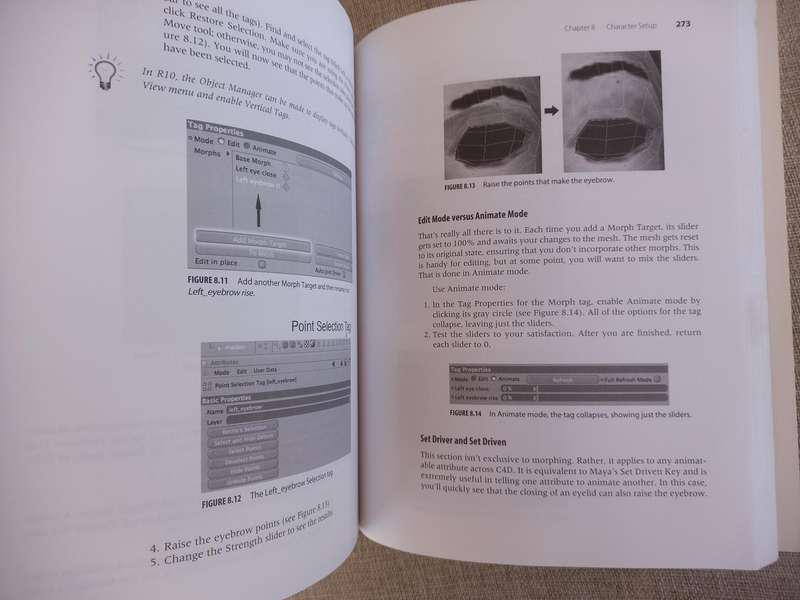 Cinema 4D R10 Handbook (Graphics Series)