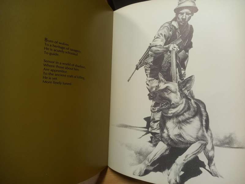 Images of War - Peter Badcock
