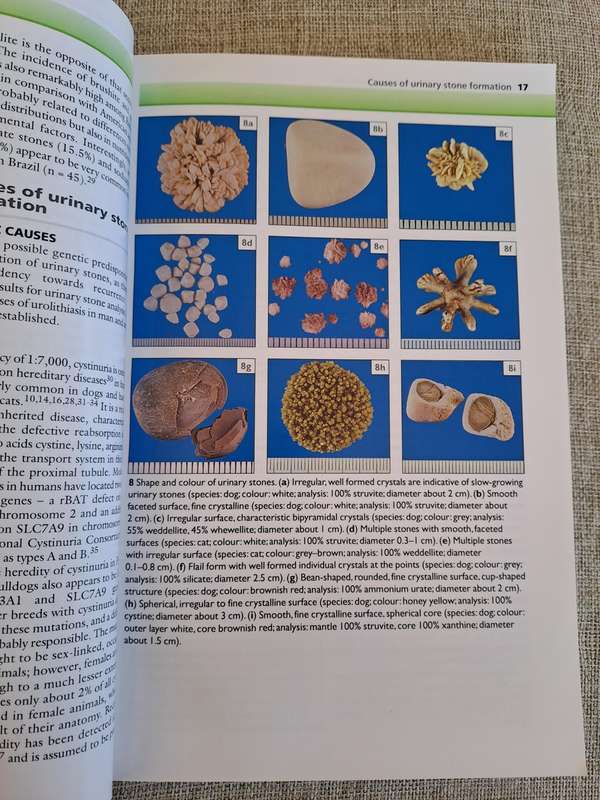 Urinary Stones in Small Animal Medicine: A Colour Handbook