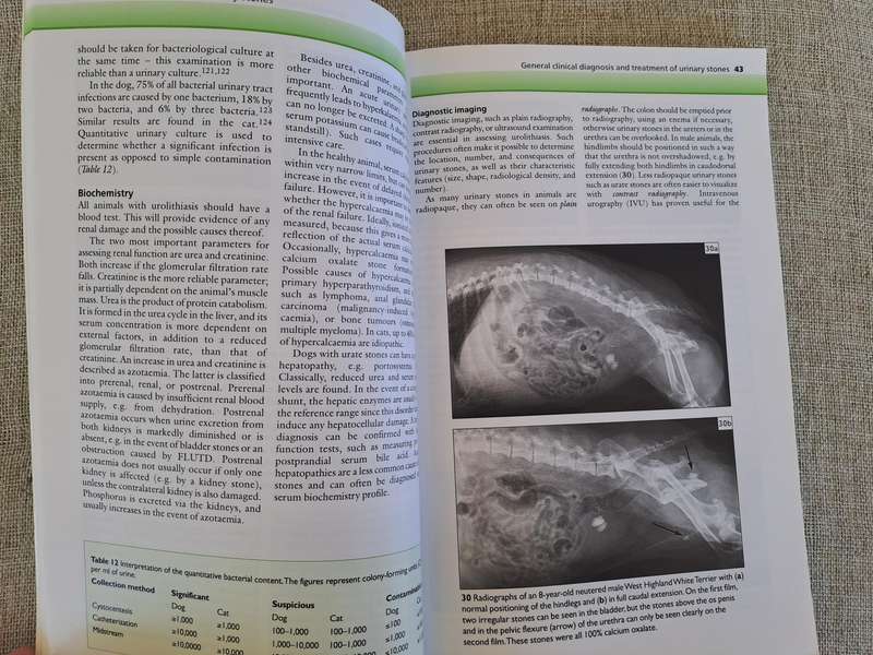 Urinary Stones in Small Animal Medicine: A Colour Handbook