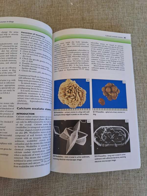 Urinary Stones in Small Animal Medicine: A Colour Handbook
