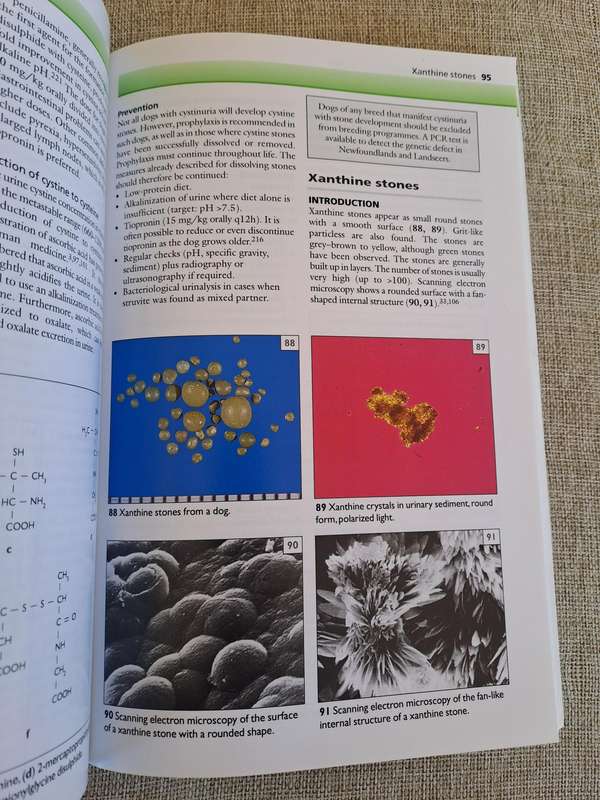 Urinary Stones in Small Animal Medicine: A Colour Handbook