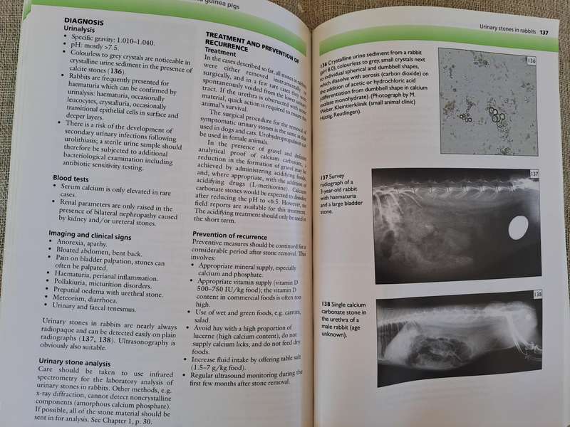 Urinary Stones in Small Animal Medicine: A Colour Handbook