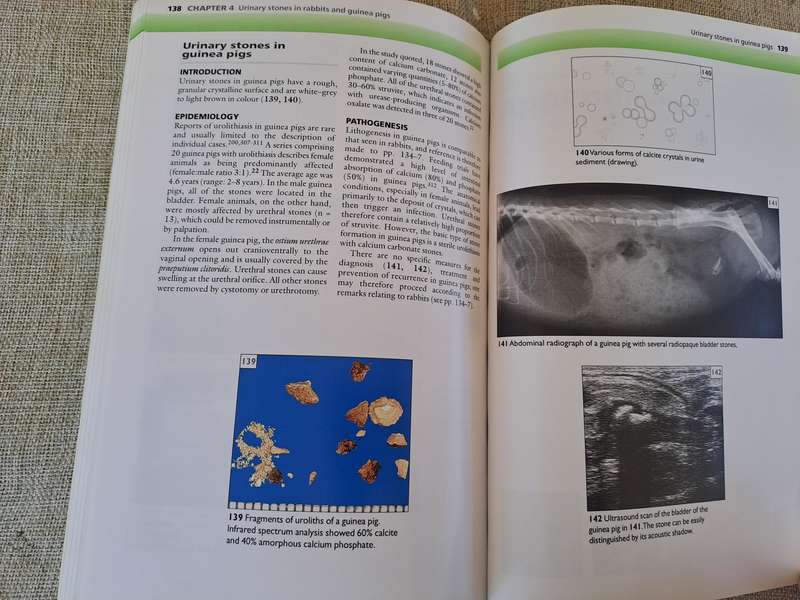 Urinary Stones in Small Animal Medicine: A Colour Handbook