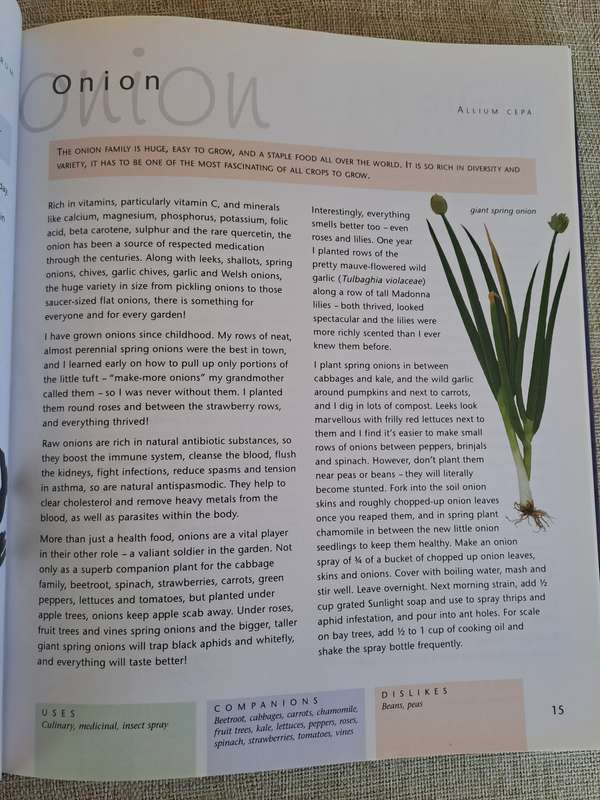 Companion Planting - Margaret Roberts