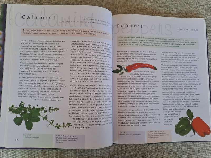 Companion Planting - Margaret Roberts