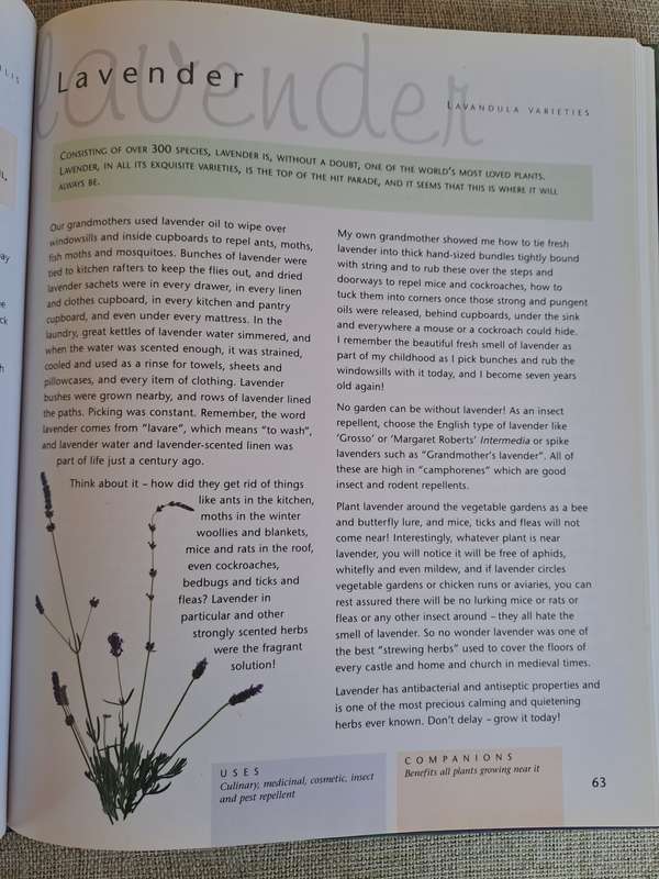 Companion Planting - Margaret Roberts