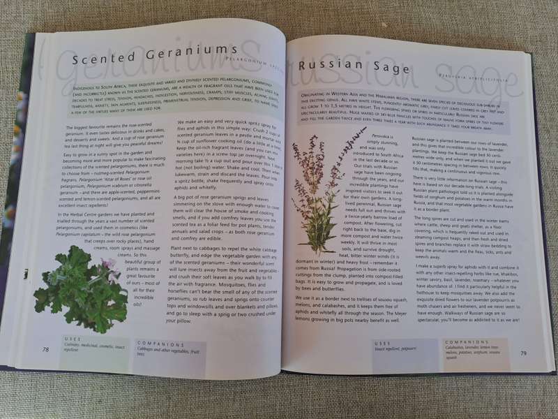 Companion Planting - Margaret Roberts