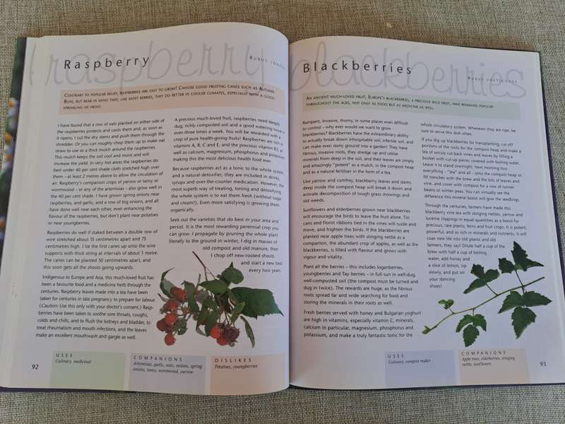 Companion Planting - Margaret Roberts