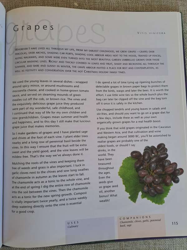 Companion Planting - Margaret Roberts