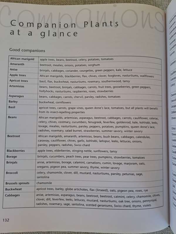 Companion Planting - Margaret Roberts