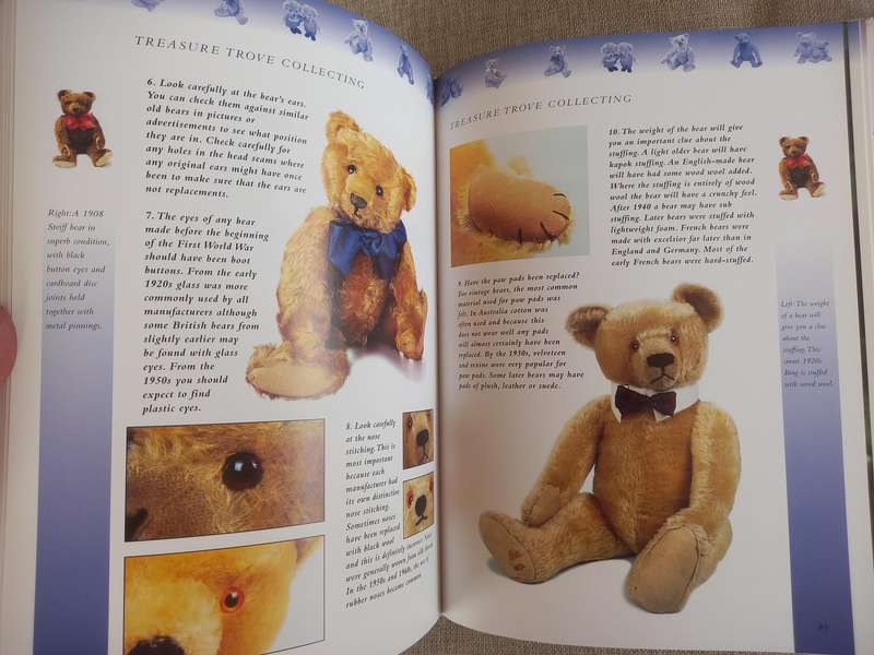 A Celebration of Teddy Bears: 100 Years - Anne Christie