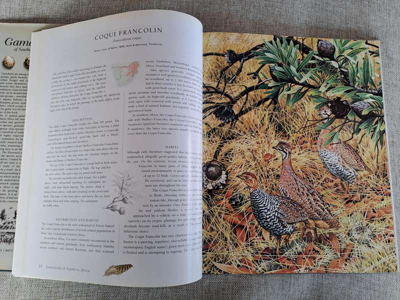 Gamebirds of Southern Africa - Rob Little, Time Crowe, Simon Barlow