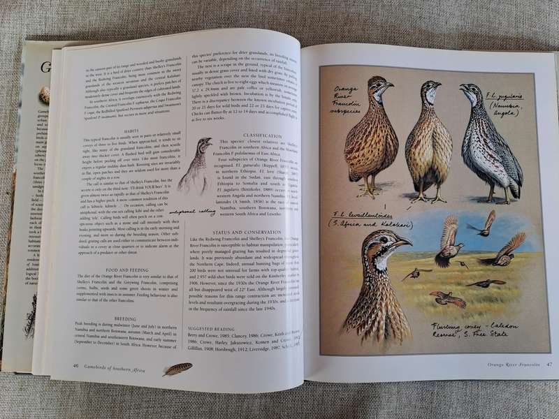 Gamebirds of Southern Africa - Rob Little, Time Crowe, Simon Barlow