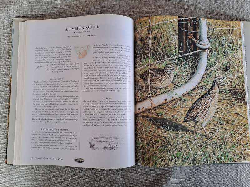 Gamebirds of Southern Africa - Rob Little, Time Crowe, Simon Barlow