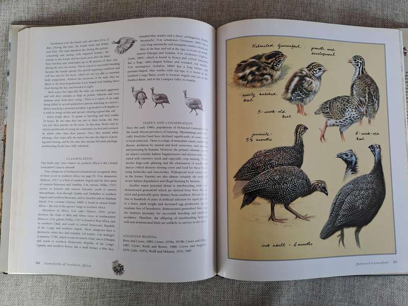 Gamebirds of Southern Africa - Rob Little, Time Crowe, Simon Barlow