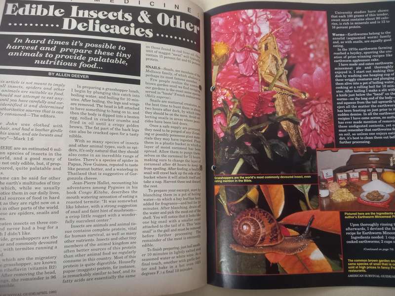 American Survival Guide - the magazine of self reliance - April 1993