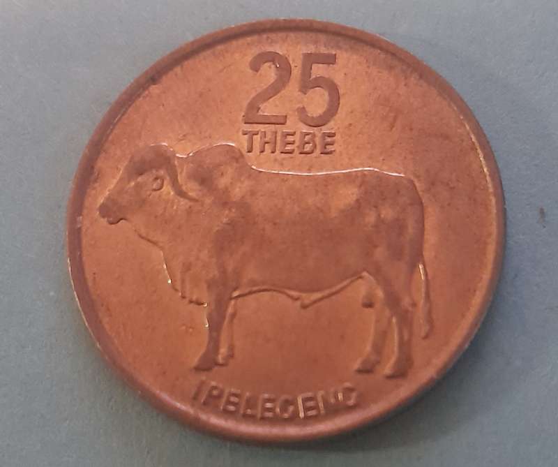 25 thebe 1991