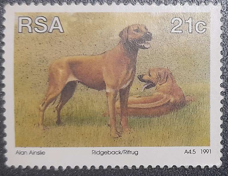 South Africa Ridgeback , Rifrig  1991